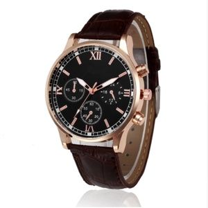 Mens luxury watch